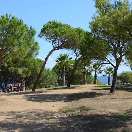 Apartment Climatise 3 Pieces Avec Terrasse, Face A La Plage, Parking Inclus - - Fr-1-251-806