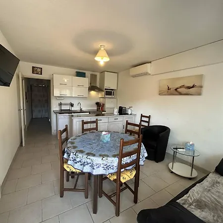 Climatise 3 Pieces Avec Terrasse, Face A La Plage, Parking Inclus - - Fr-1-251-806 Bormes-les-Mimosas